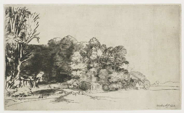  伦勃朗·梵·莱茵 Rembrandt van Rijn——树林